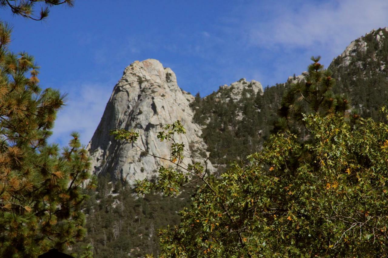 The Grand Idyllwild Lodge Экстерьер фото